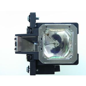 base_image_label-300989-OI67434