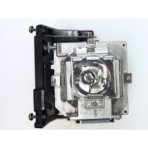 base_image_label-301061-OI66166