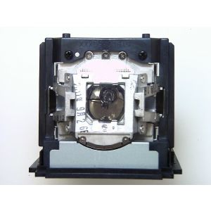 base_image_label-301076-OI61955