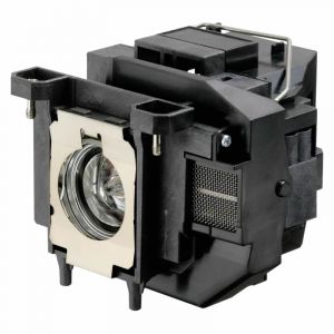 base_image_label-301142-OI54397