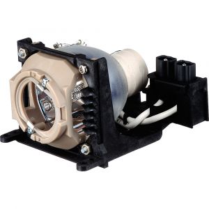 base_image_label-301167-OI66259