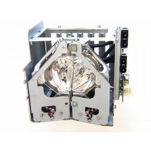 base_image_label-301316-OI60830