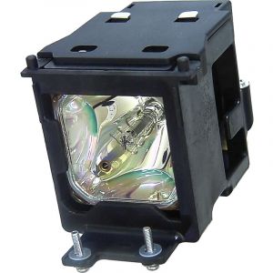 base_image_label-301341-OI55463