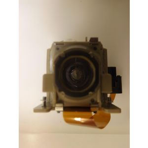 base_image_label-301472-OI55781