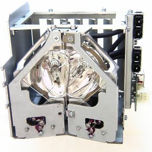 base_image_label-301514-OI66489