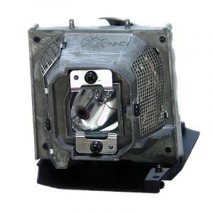 base_image_label-301532-OI60049