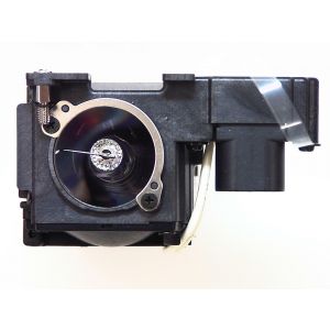 base_image_label-301612-OI53080