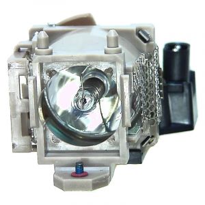 base_image_label-301620-OI57253