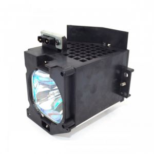 base_image_label-301623-OI57295