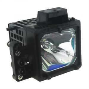 base_image_label-301658-OI57375