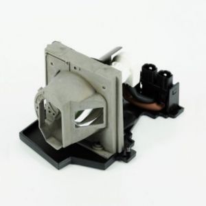 base_image_label-301967-OI58547