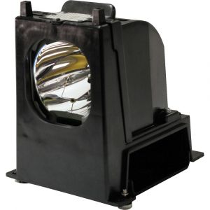 base_image_label-302008-OI59650