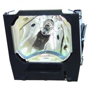 base_image_label-302016-OI59658