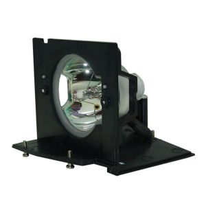 base_image_label-302031-OI59504