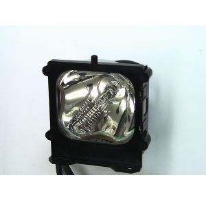 base_image_label-302054-OI64082