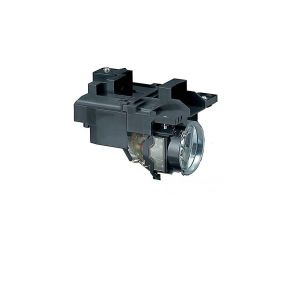 base_image_label-302063-OI64099