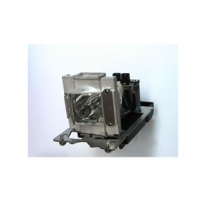 base_image_label-302084-OI64148