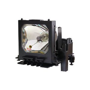 small_image_label-102113-67508