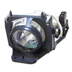 base_image_label-302244-OI64498