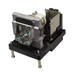 base_image_label-302265-OI64527