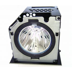 base_image_label-302294-OI64572