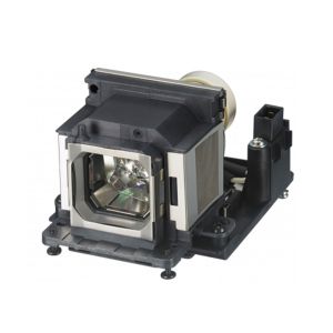 base_image_label-302390-OI64913