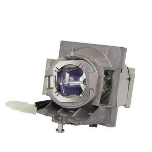 base_image_label-302669-OI66957