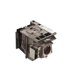 base_image_label-302694-OI66977