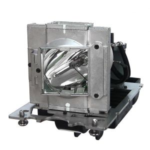 base_image_label-302699-OI67012