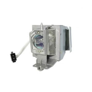 base_image_label-302704-OI66944