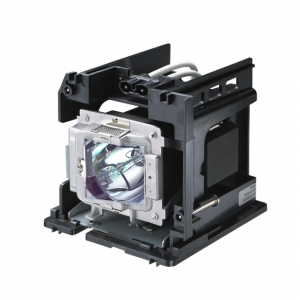 base_image_label-302435-OI67340