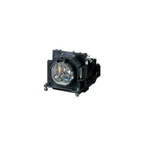 base_image_label-302722-OI67166