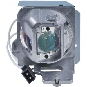 base_image_label-302724-OI67041