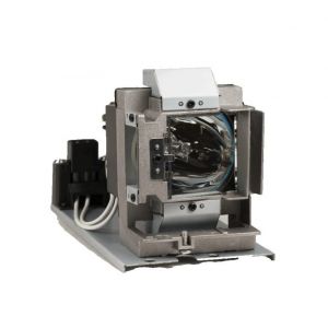 base_image_label-302728-OI66979