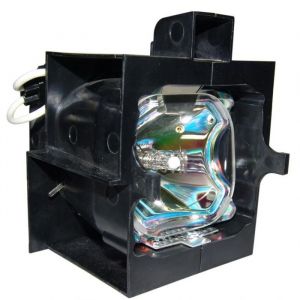LIESEGANG DV 5000 VARIO PLUS Original Inside Projector Lamp - Replaces DV 5000 VARIO LAMP