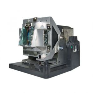 small_image_label-100896-61935