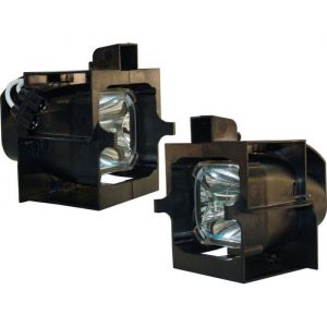 LIESEGANG DV 3500 vario Original Inside Projector Lamp - Replaces